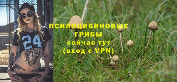 дурь Алексеевка