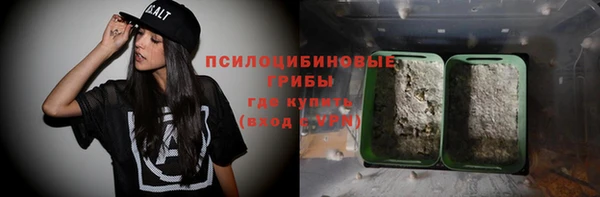 ПСИЛОЦИБИНОВЫЕ ГРИБЫ Алзамай