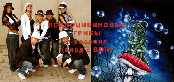 дурь Алексеевка