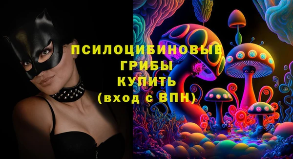 дурь Алексеевка