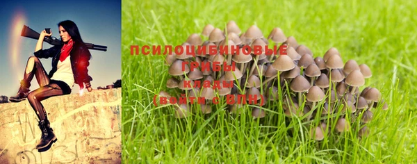 дурь Алексеевка