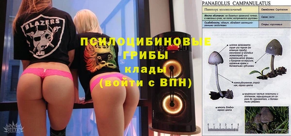 ПСИЛОЦИБИНОВЫЕ ГРИБЫ Алзамай