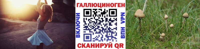 Галлюциногенные грибы MAGIC MUSHROOMS  Клин 